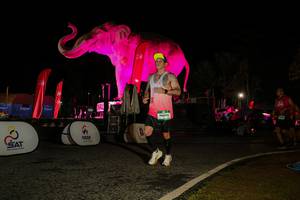 BIB: 
                            <button type="button" onclick="openModal(26534631)" class="btn btn-primary btn-sm float-right btn-popup" data-toggle="modal" data-target=".modal-high-quality">
                        <i class="fas fa-shopping-cart"></i> Add to Cart
                    </button>
                                            <button type="button" onclick="isThisMe(26534631, true)" class="btn btn-success btn-sm float-right btn-popup btn-isme hidden" data-toggle="tooltip" data-placement="bottom" title="นี่คือรูปของคุณใช่ไหม คลิกที่นี่เพื่อเอาเข้าอัลบั้ม">
                        <i class="fas fa-plus"></i> Add to album
                    </button>
                    <button type="button" onclick="isThisMe(26534631, false)" class="btn btn-warning btn-sm float-right btn-popup btn-isnotme hidden">
                        <i class="fas fa-ban"></i> Remove from album
                    </button>